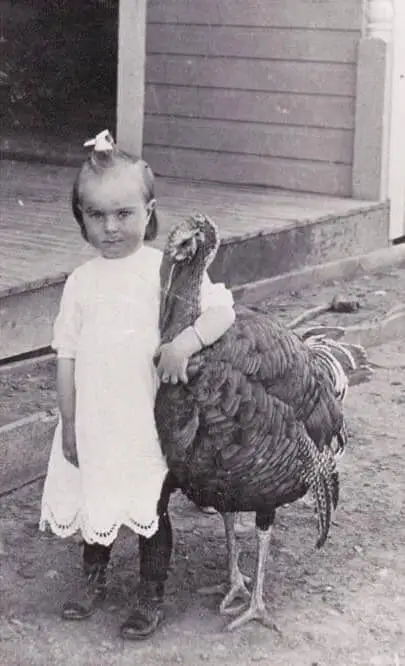Historisches Foto Mädchen mit Truthahn Restaurierung vorher nachher — altes Foto repariert